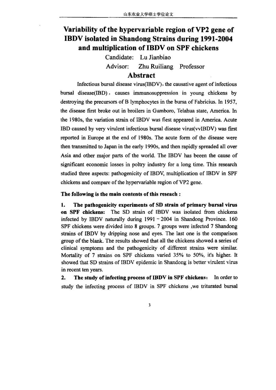 1991～2004年间IBDV山东分离株VP2高变区基因变异性及IBDV在SPF鸡体内增殖规律的研究_第5页