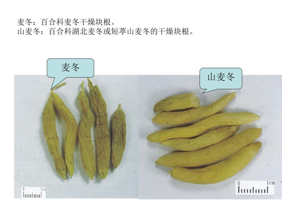 中药真伪鉴别 ppt课件_第2页