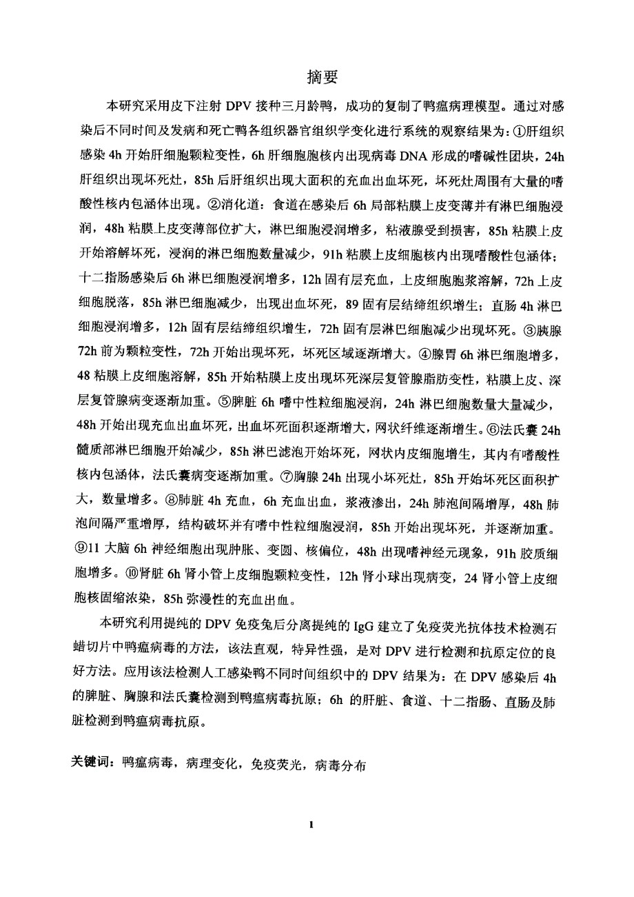 人工感染鸭瘟病毒急性病理模型的病理学发展规律及免疫荧光检测石蜡切片中鸭瘟病毒分布规律的研究_第3页