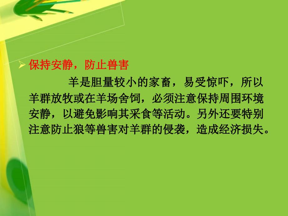 岳__斌__细毛羊的饲养管理技术_第4页