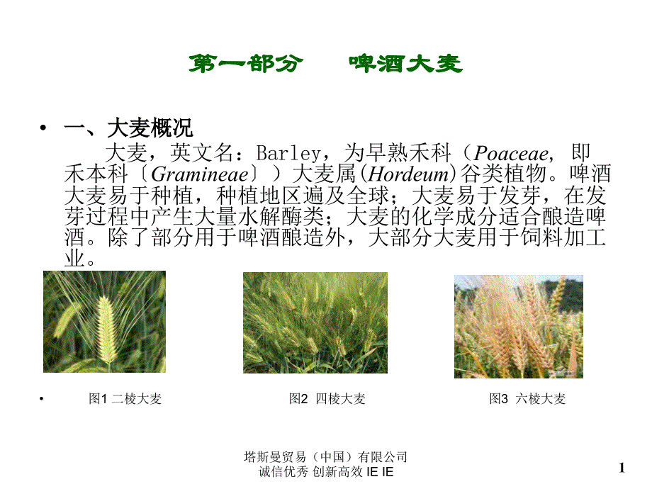 塔斯曼贸易公司 -麦芽知识讲座介绍_第1页