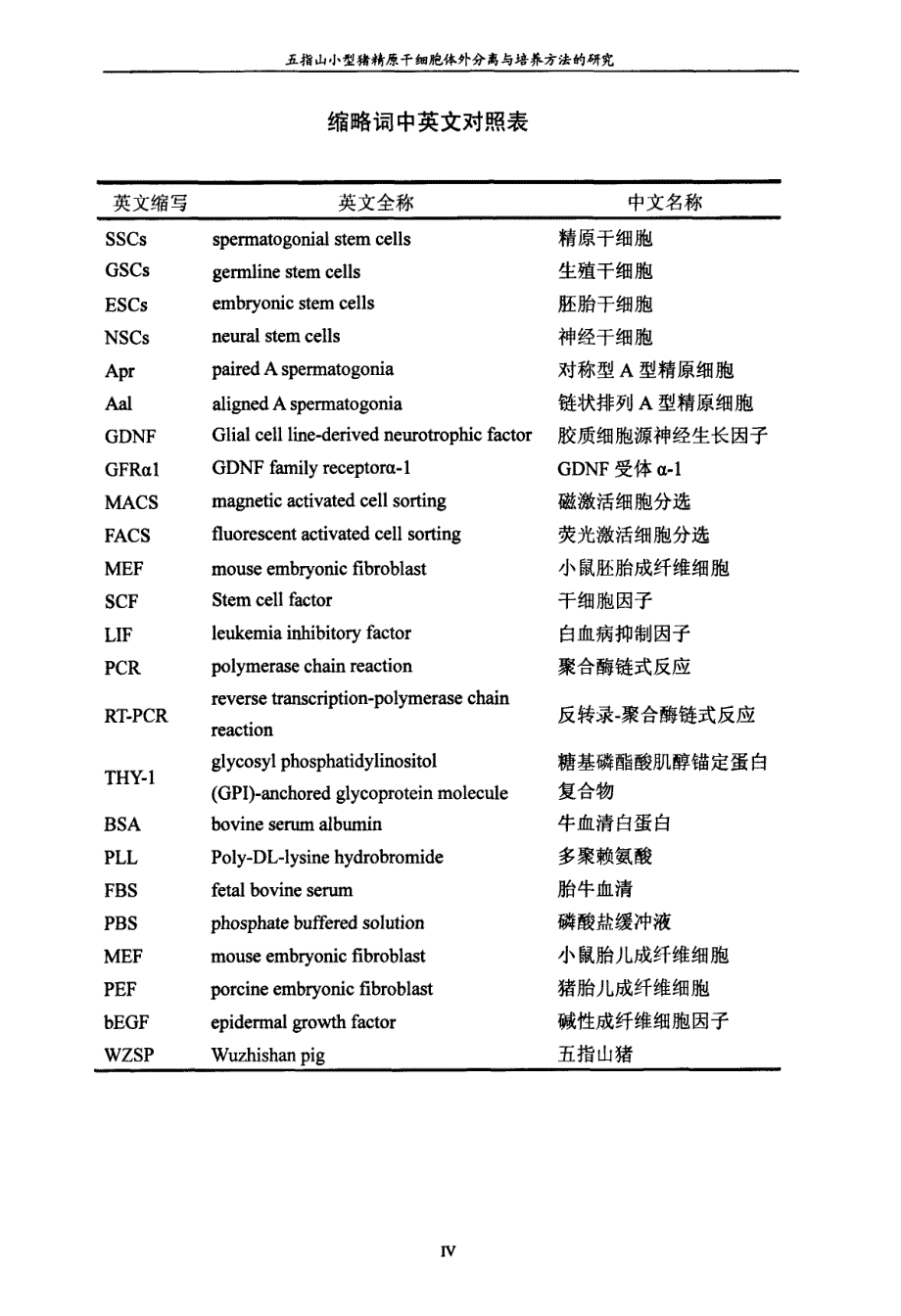 五指山小型猪精原干细胞体外分离与培养方法的研究_第4页