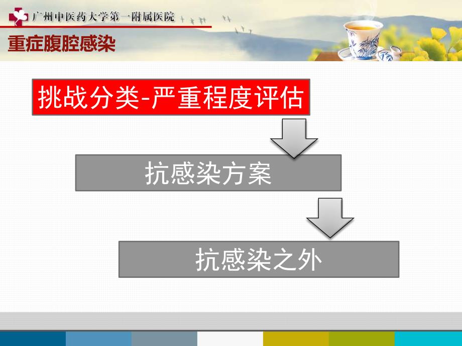 2013最新腹腔感染指南_第4页