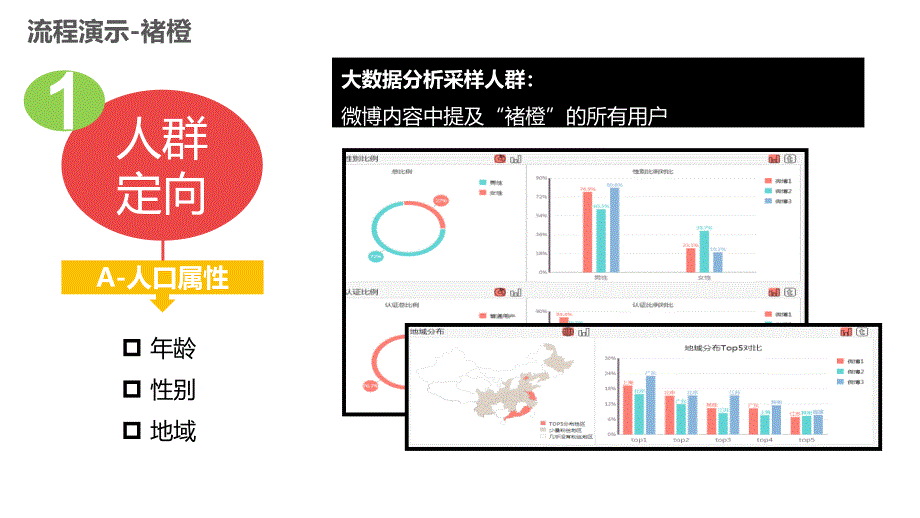 新浪微博广告推广案例-褚橙_第4页