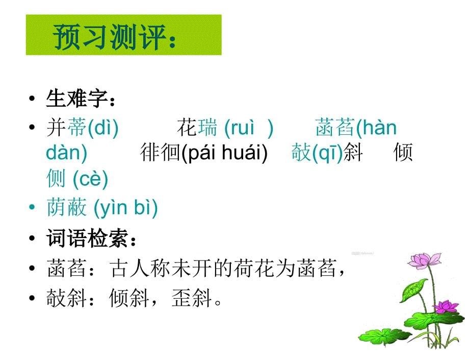 《荷叶母亲》课件_第5页