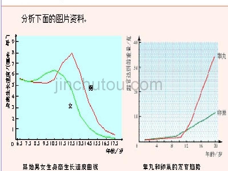 《青春期》PPT课件_第5页