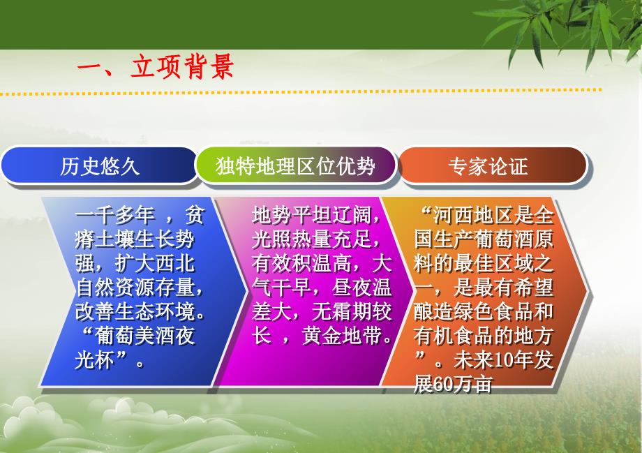 嫁接葡萄科技成果答辩-戈壁滩酿酒葡萄抗寒栽培技术研究与示范_第4页