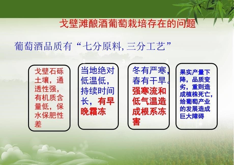 嫁接葡萄科技成果答辩-戈壁滩酿酒葡萄抗寒栽培技术研究与示范_第5页