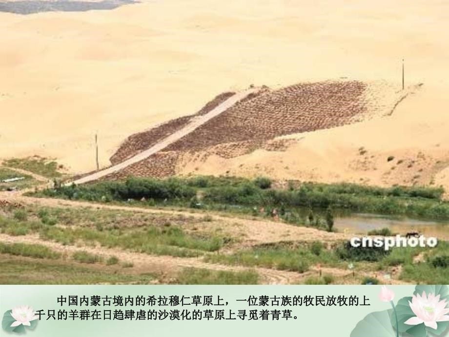 第八章 荒芜土地生态系统恢复与重建的生态工程 实用生态工程学课件_第5页