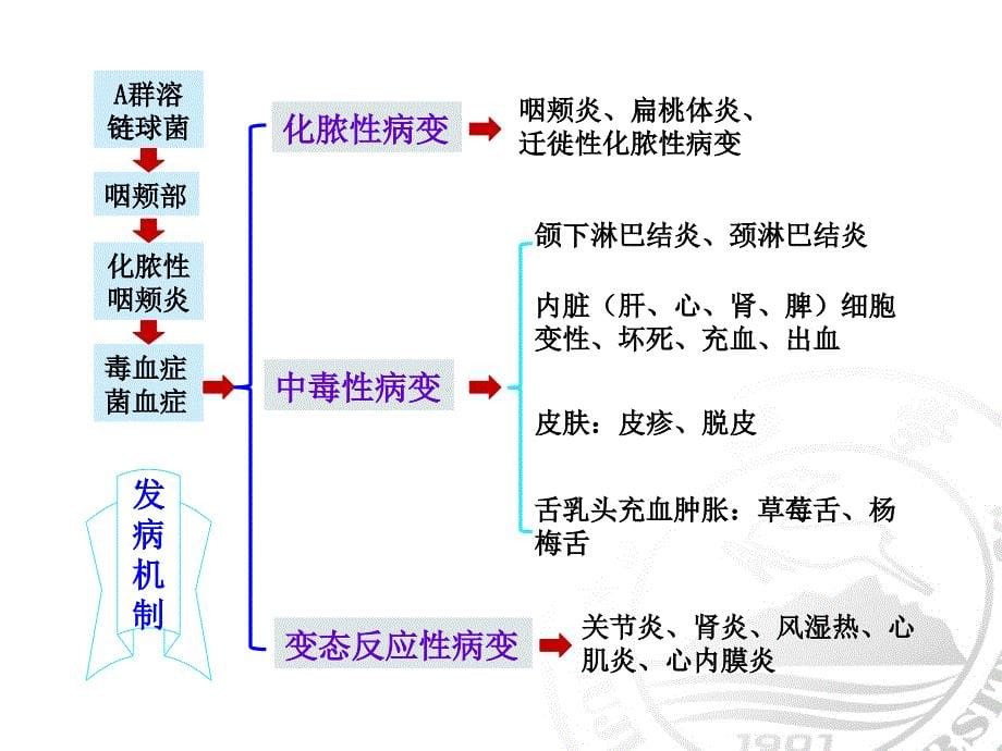 第五节猩红热病人的护理 课件_第5页