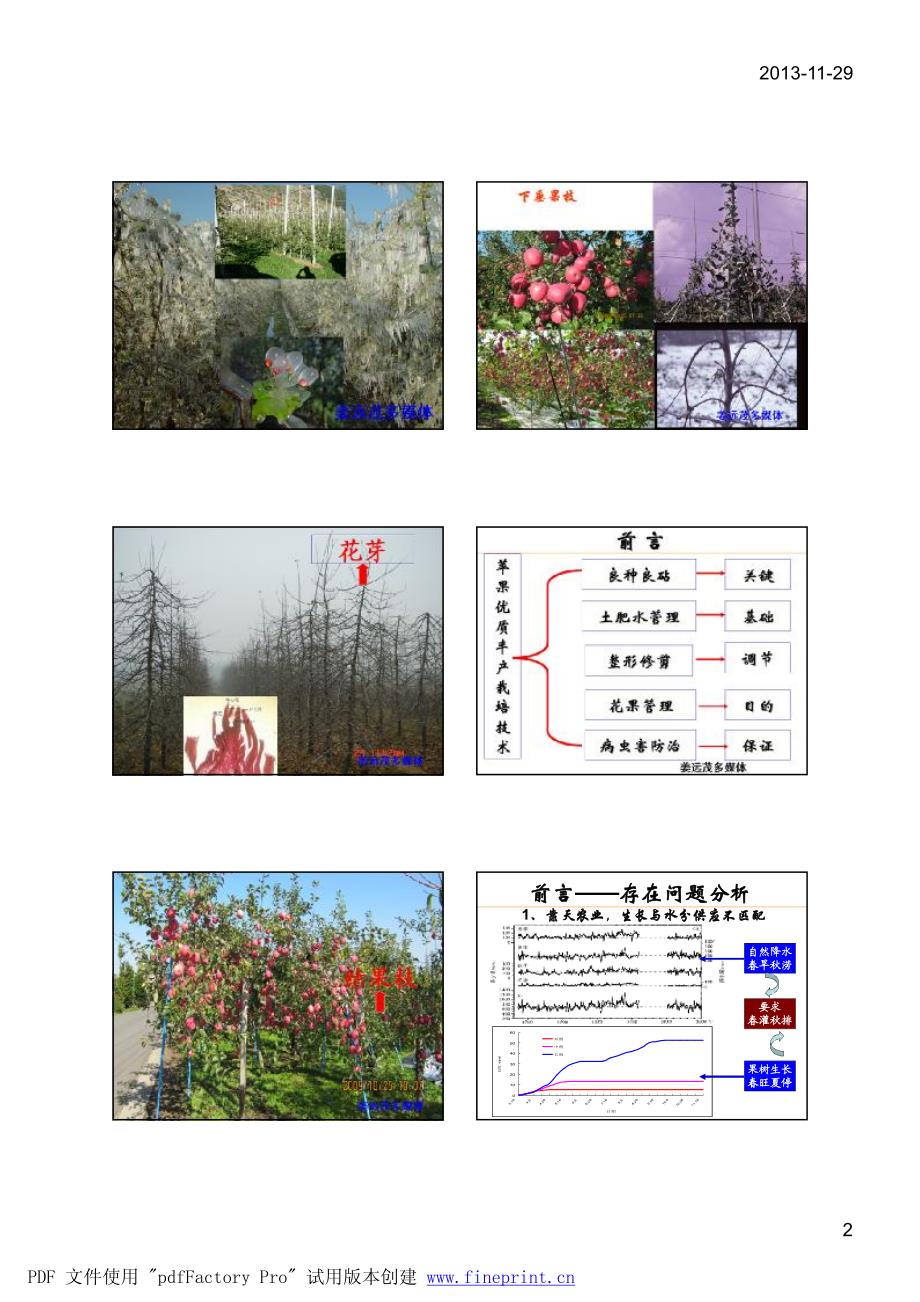 姜远茂—果树测土配方施肥培训班_第2页