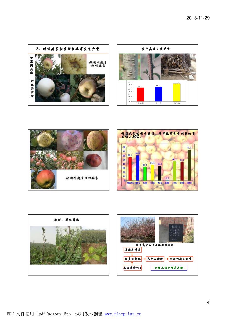 姜远茂—果树测土配方施肥培训班_第4页