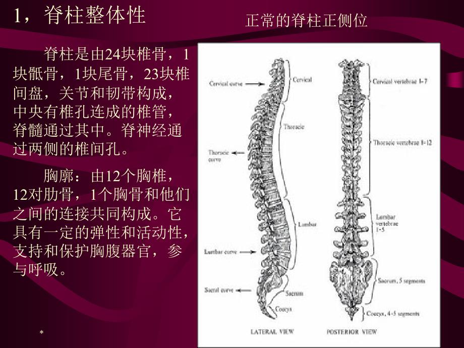 脊柱侧弯的 矫形器治疗_第3页