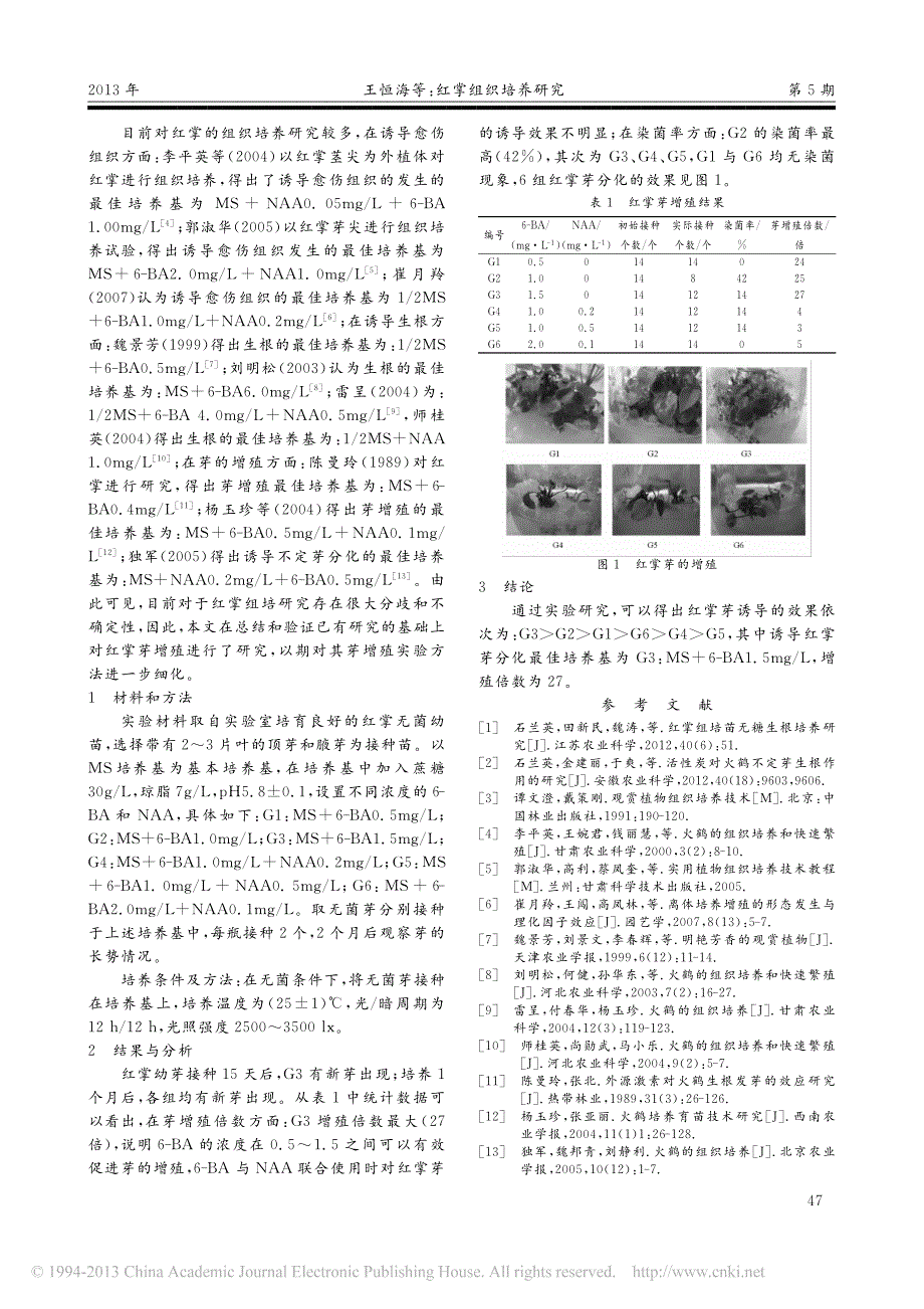 红掌组织培养研究_第2页