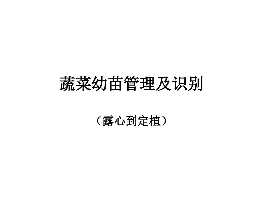 黄瓜、番茄幼苗管理及识别_第1页