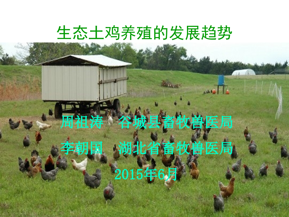 生态土鸡养殖产业的发展趋势_第1页
