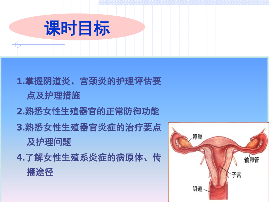 第十三章  女性生殖系统炎症病人的护理_第3页