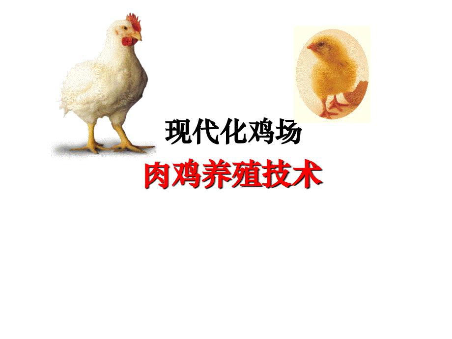 现代化肉鸡养殖技术-通风篇