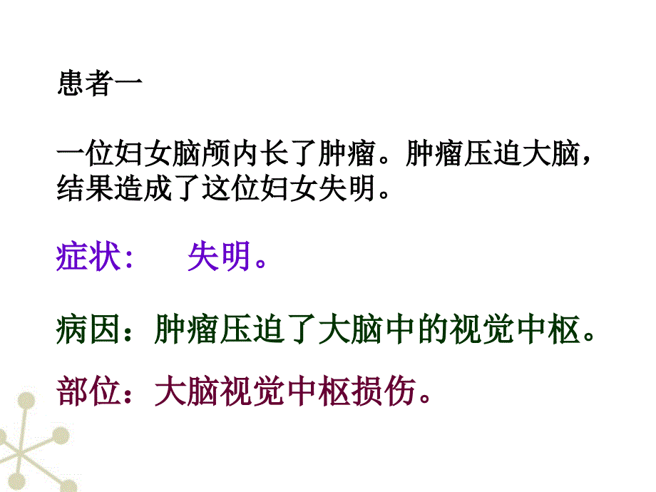 七年级生物下册_神经系统的组成课件_人教新课标版 (2)_第4页