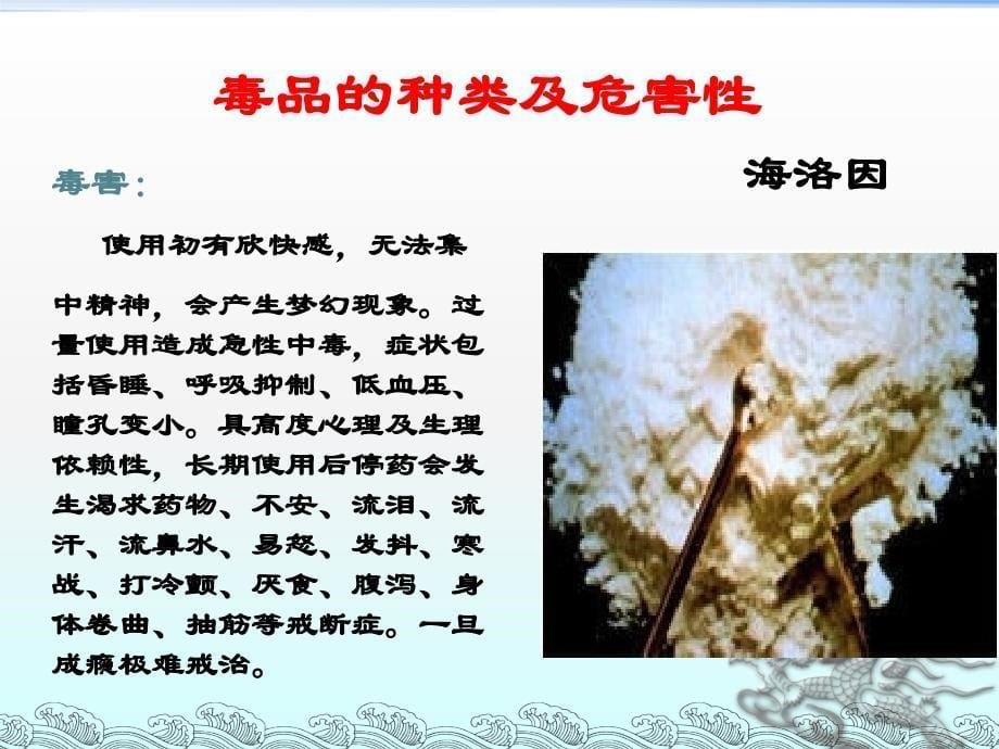 禁毒教育主题班会《珍爱生命 远离毒品》ppt课件_第5页