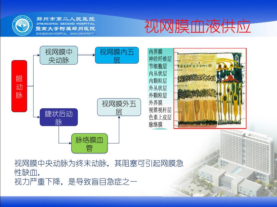 视网膜中央动脉阻塞精要_第3页