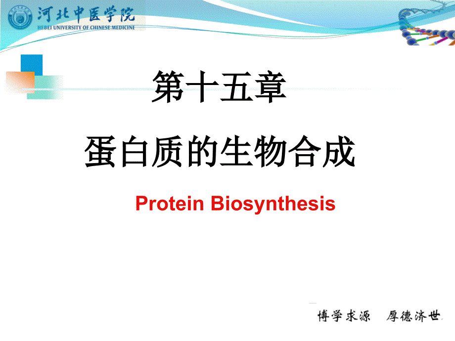 蛋白质生物合成 ppt课件_第1页