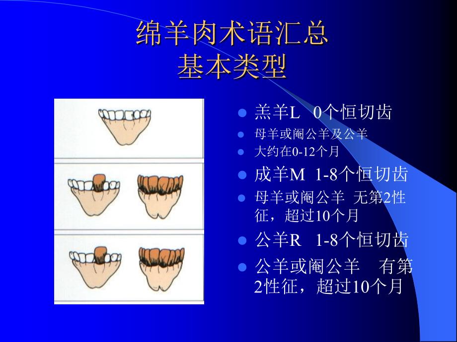 澳洲肉品手册-绵羊肉_第1页