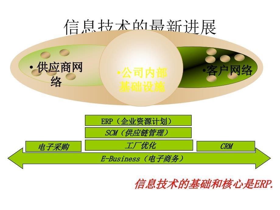 利用信息技术为企业创造价值_第5页