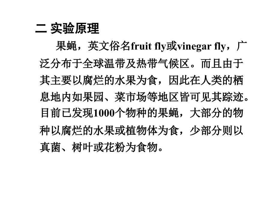 果蝇的观察和饲养_第4页