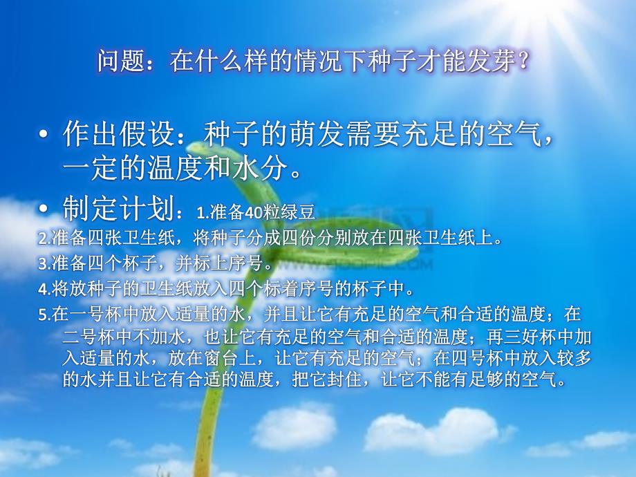 种子发芽观察实验报告_第2页