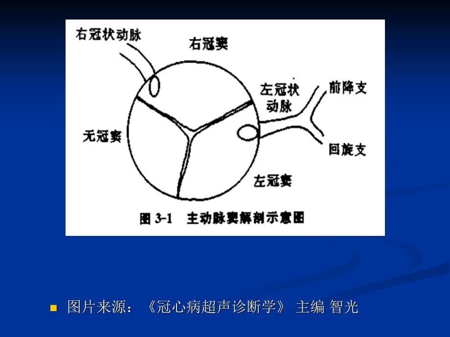 冠心病的超声诊断_第5页