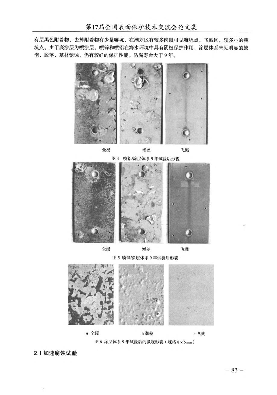 金属喷涂层及防护体系在海洋环境中的腐蚀行为研究_第4页