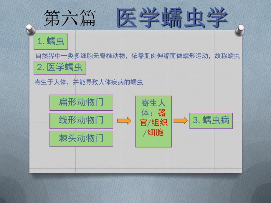 医学蠕虫-线虫-蛔虫_第1页