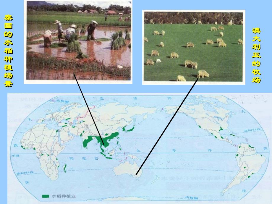 农业区位与农业地域类型_第3页