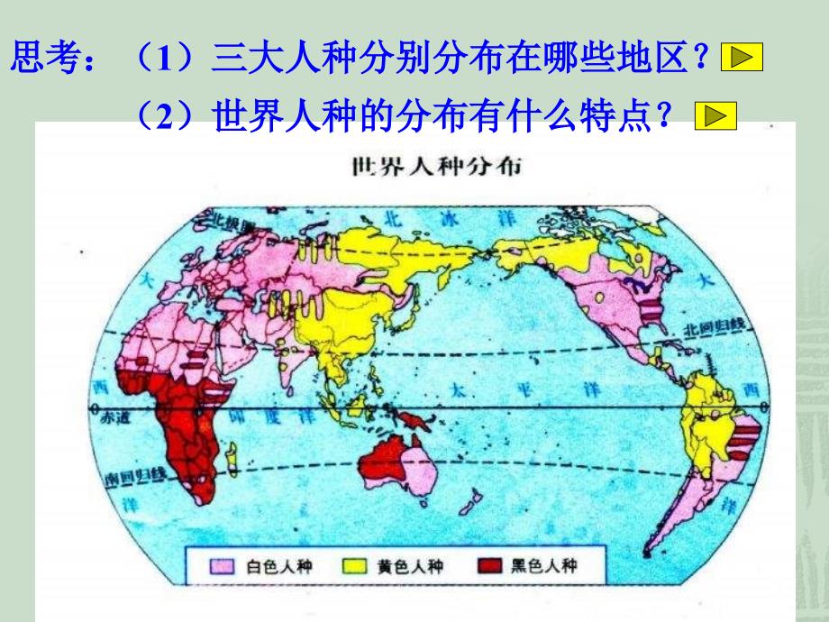 七年级历史世界大家庭1_第4页