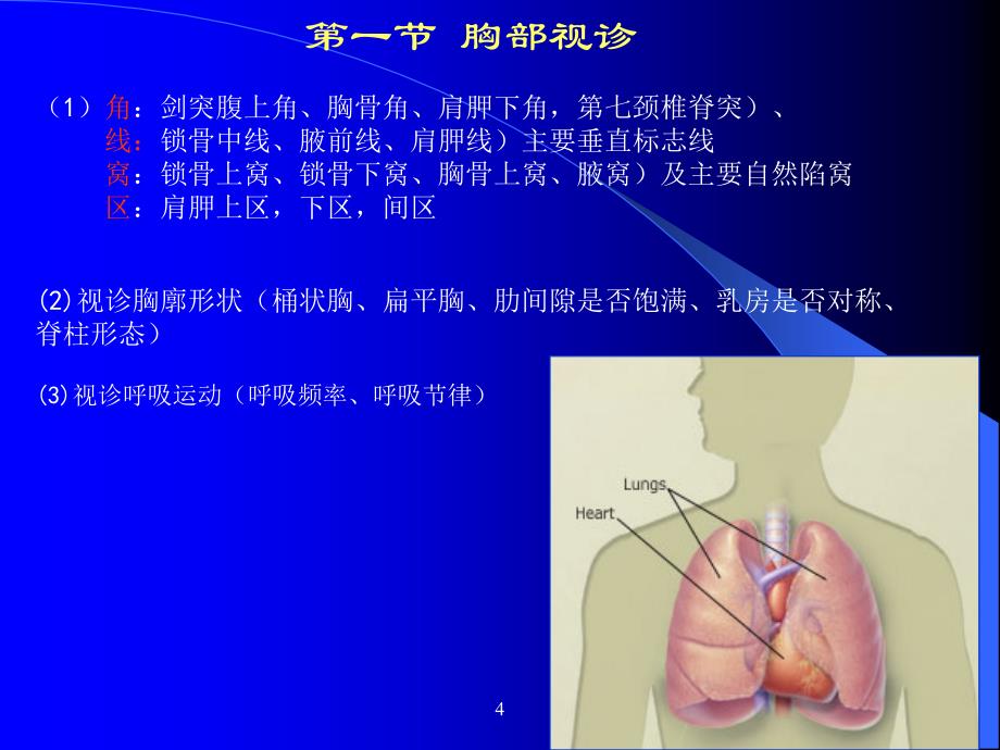 胸腹部体格检查 ppt课件_第4页