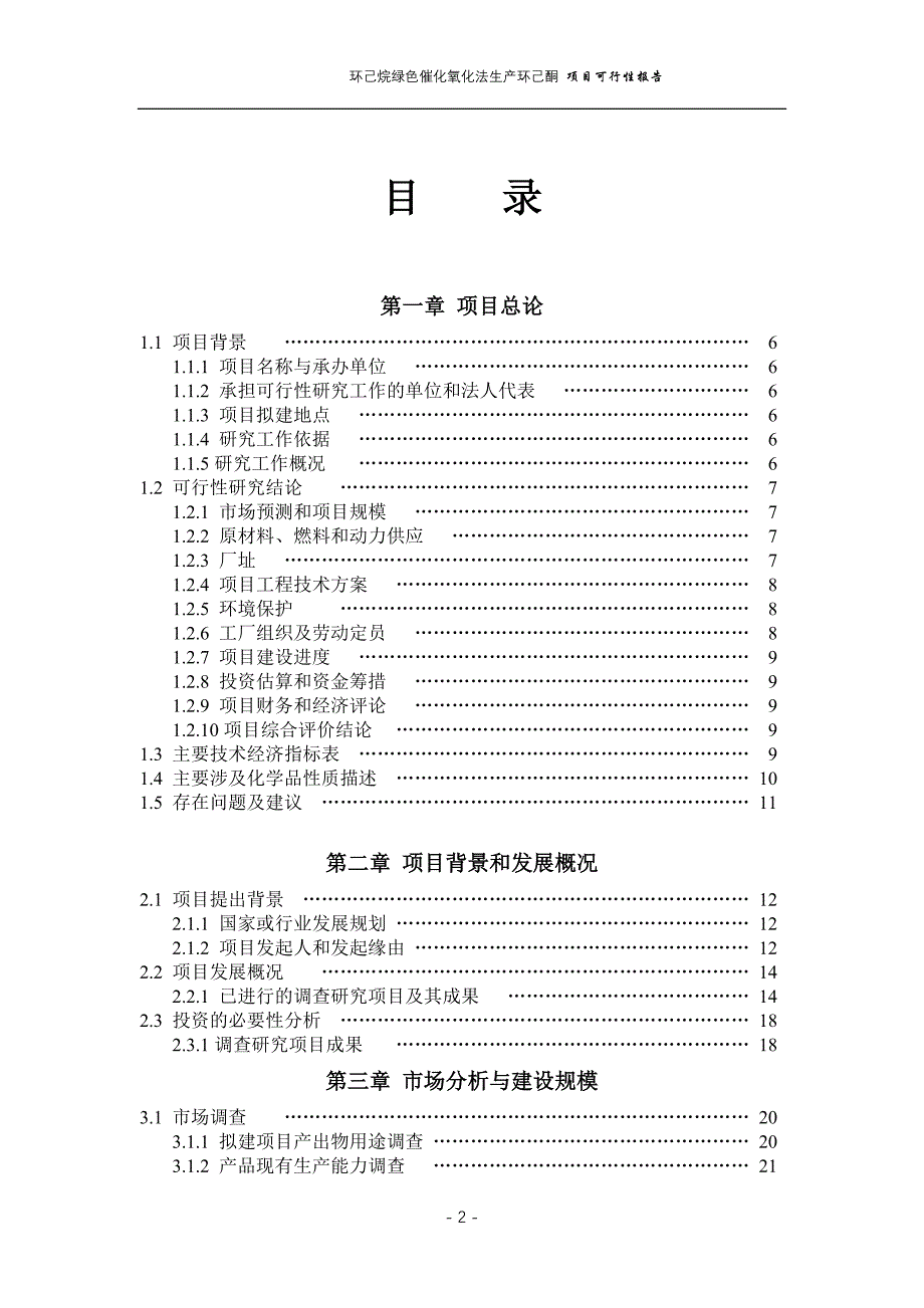 化氧化法生产环己酮_项目可行性研究报告_第2页