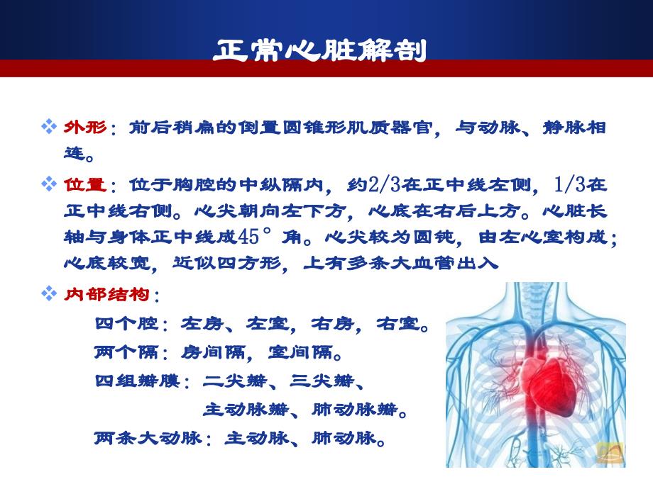 经胸超声心电图检查规范_第4页