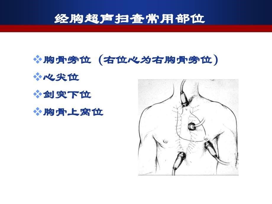 经胸超声心电图检查规范_第5页