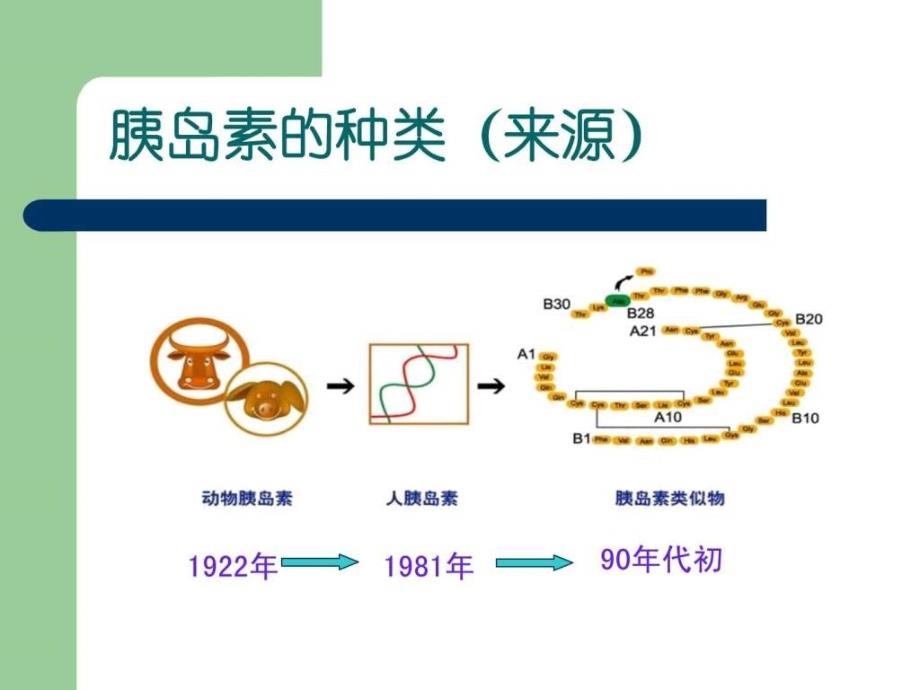 胰岛素的种类和用法最新最完整_图文.ppt_第2页