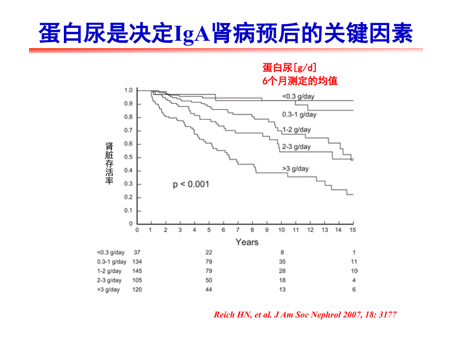 KDIGO临床指南-IgA肾病的治疗_第3页