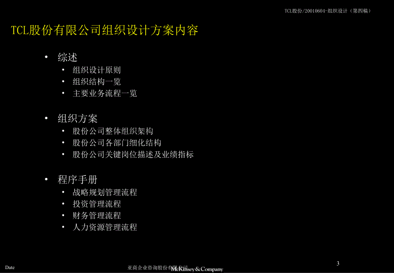 TCL股份组织结构设计方案报告_第3页