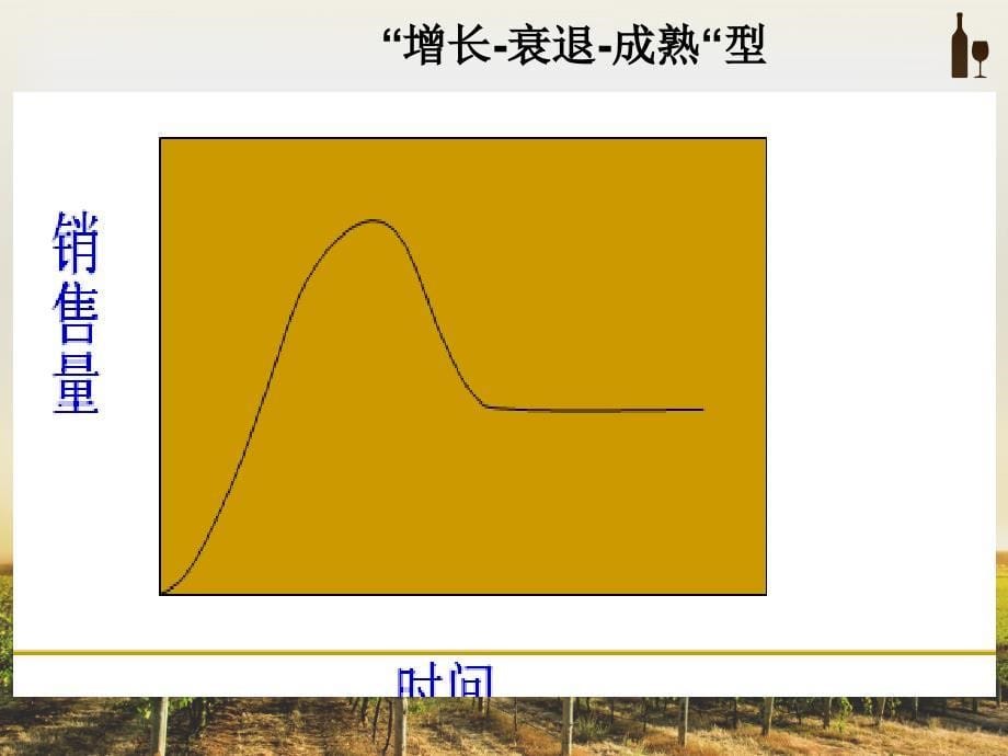 产品市场生命周期与营销策略_第5页