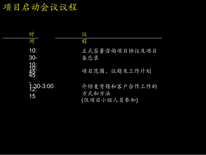 (全)实达项目启动报告_第2页