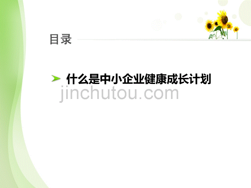 中小企业健康成长计划_第2页