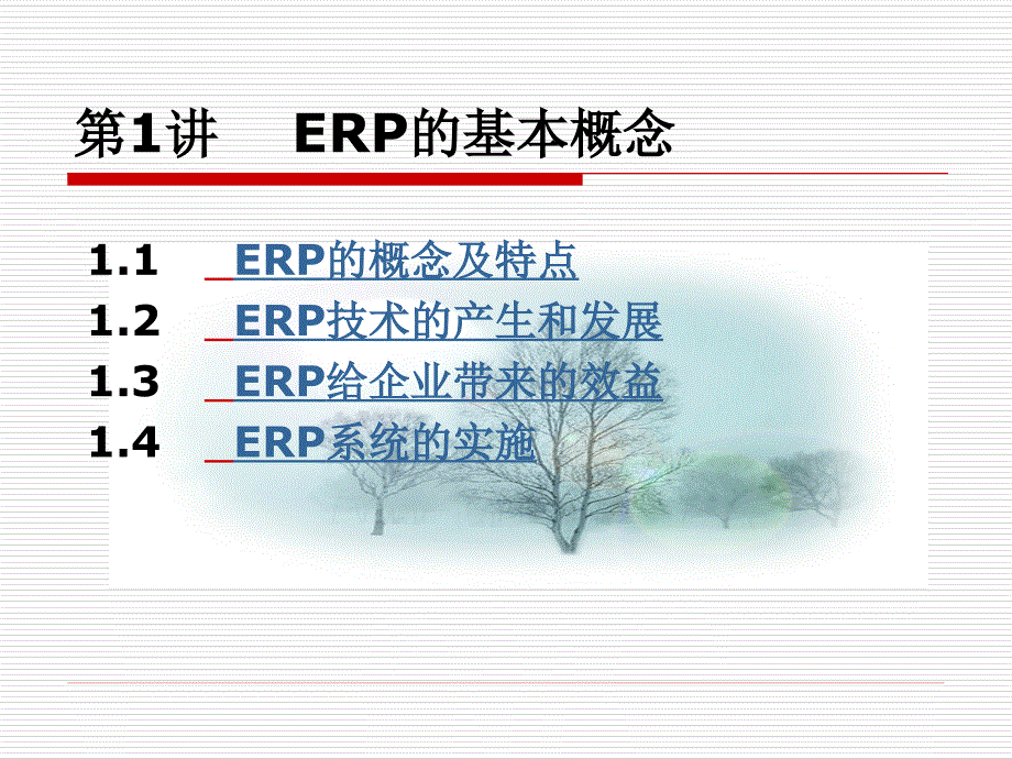 第1讲  ERP的基本概念_第1页