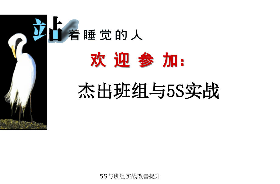 5S与班组实战改善提升_第1页