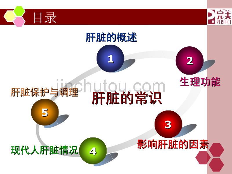 保健食品讲师培训(肝脏的常识)_第2页