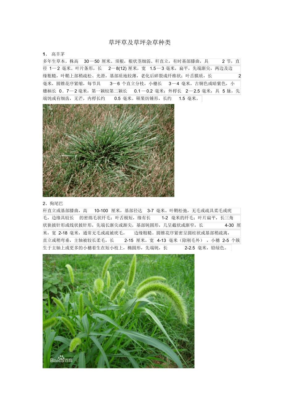 草坪草及草坪杂草种类_第1页