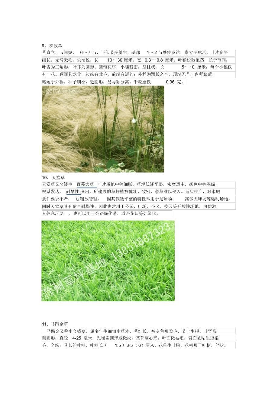 草坪草及草坪杂草种类_第5页